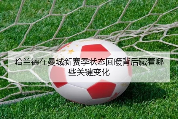 哈兰德在曼城新赛季状态回暖背后藏着哪些关键变化